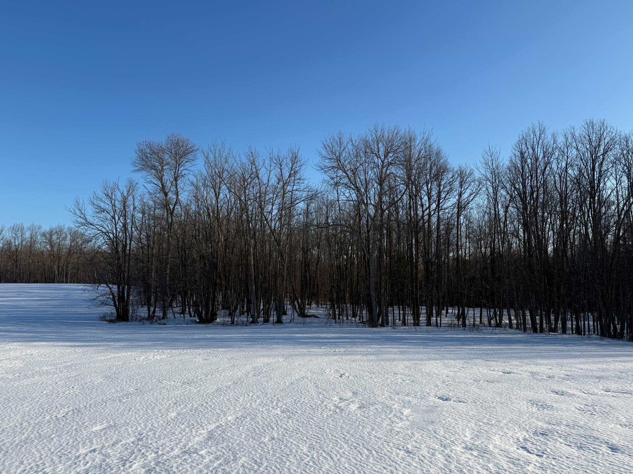 3721 County Line Road Sturgeon Lake, MN 55783 - Photo 12 of 55
