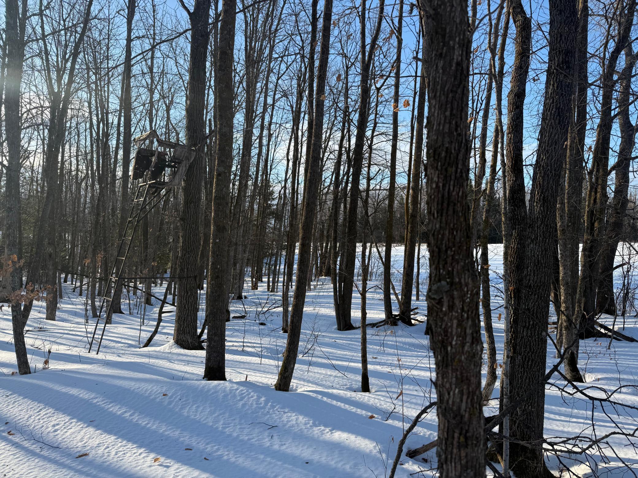 3721 County Line Road Sturgeon Lake, MN 55783 - Photo 14 of 55