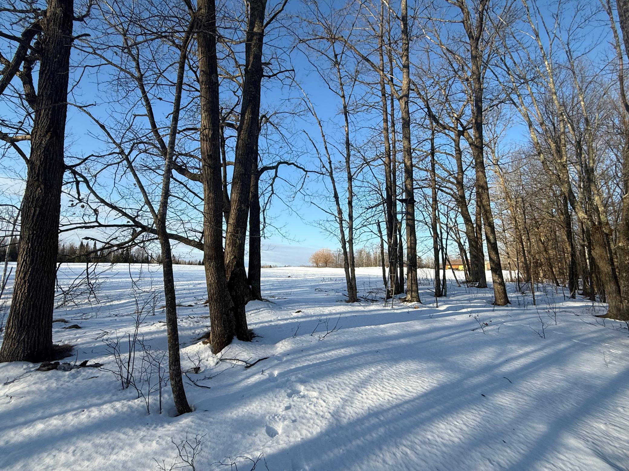 3721 County Line Road Sturgeon Lake, MN 55783 - Photo 18 of 55