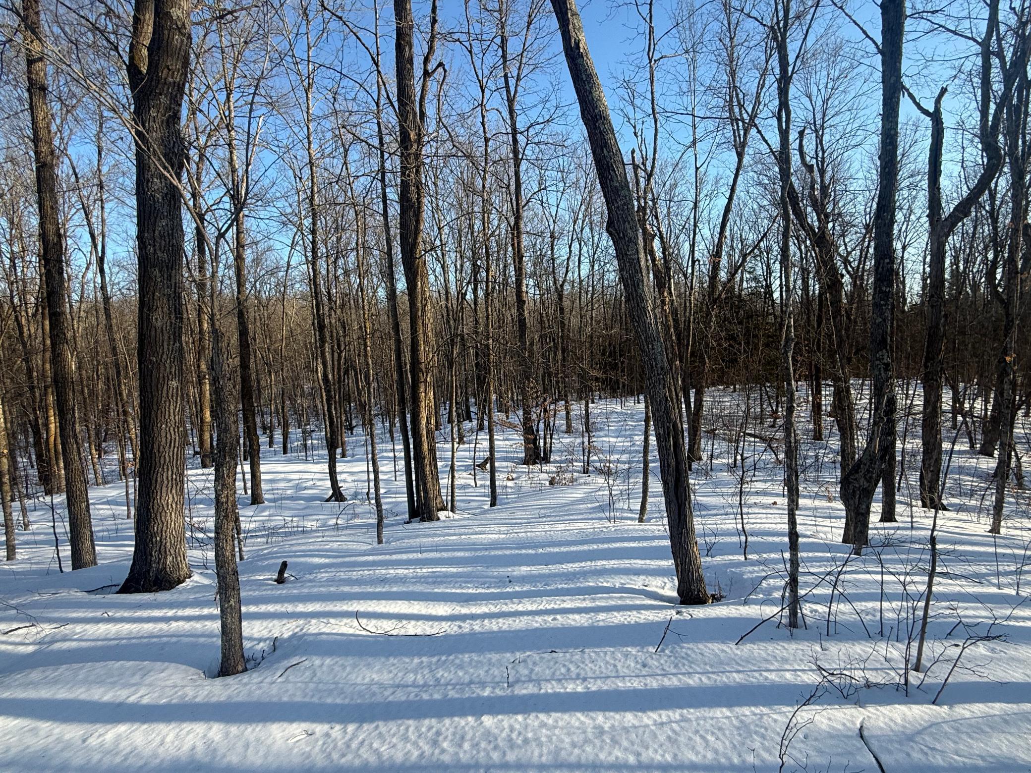 3721 County Line Road Sturgeon Lake, MN 55783 - Photo 19 of 55