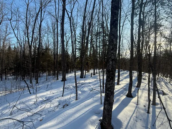 $130,000 | 3721 County Line Road, Sturgeon Lake, MN 55783