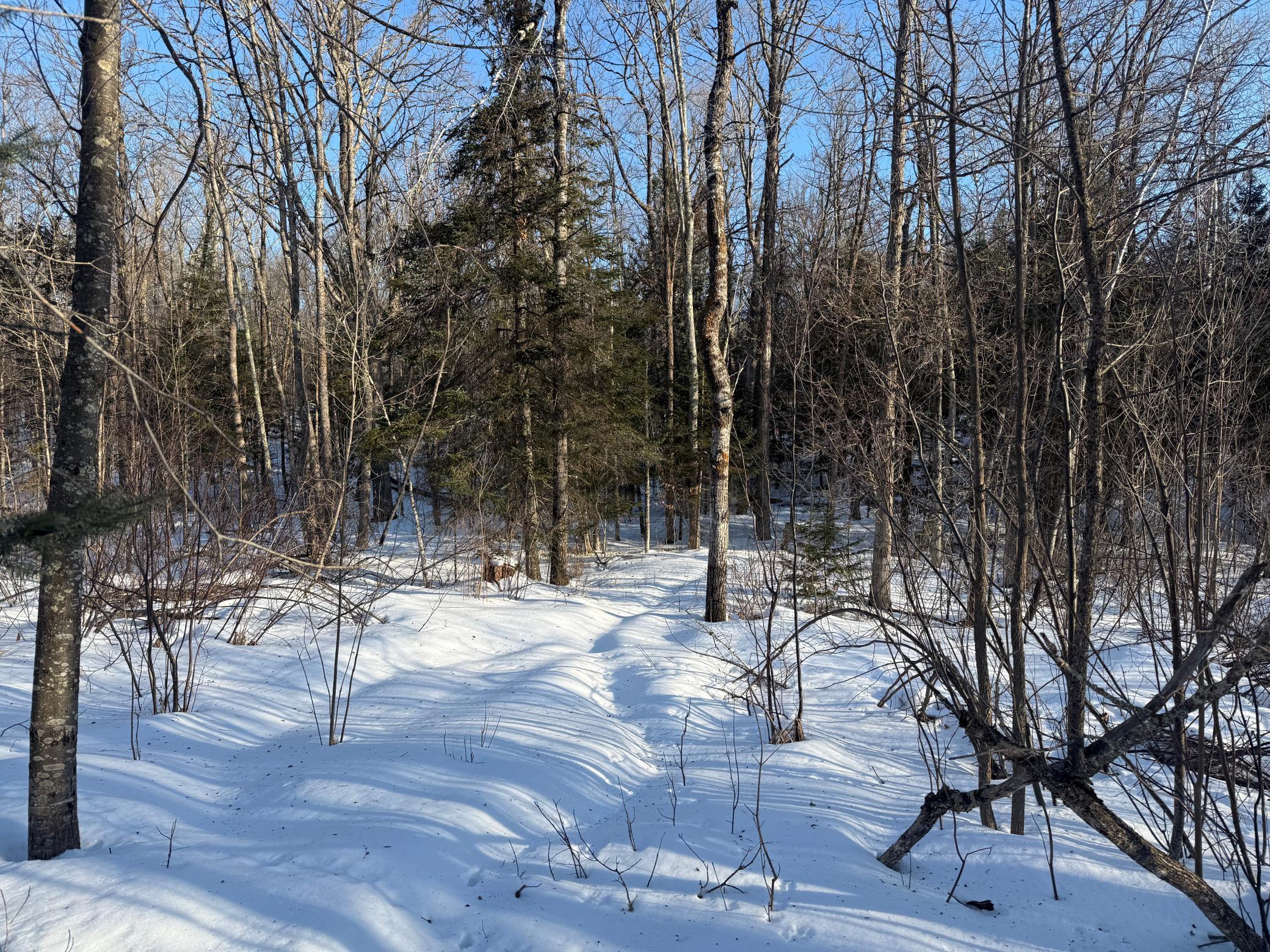 3721 County Line Road Sturgeon Lake, MN 55783 - Photo 21 of 55