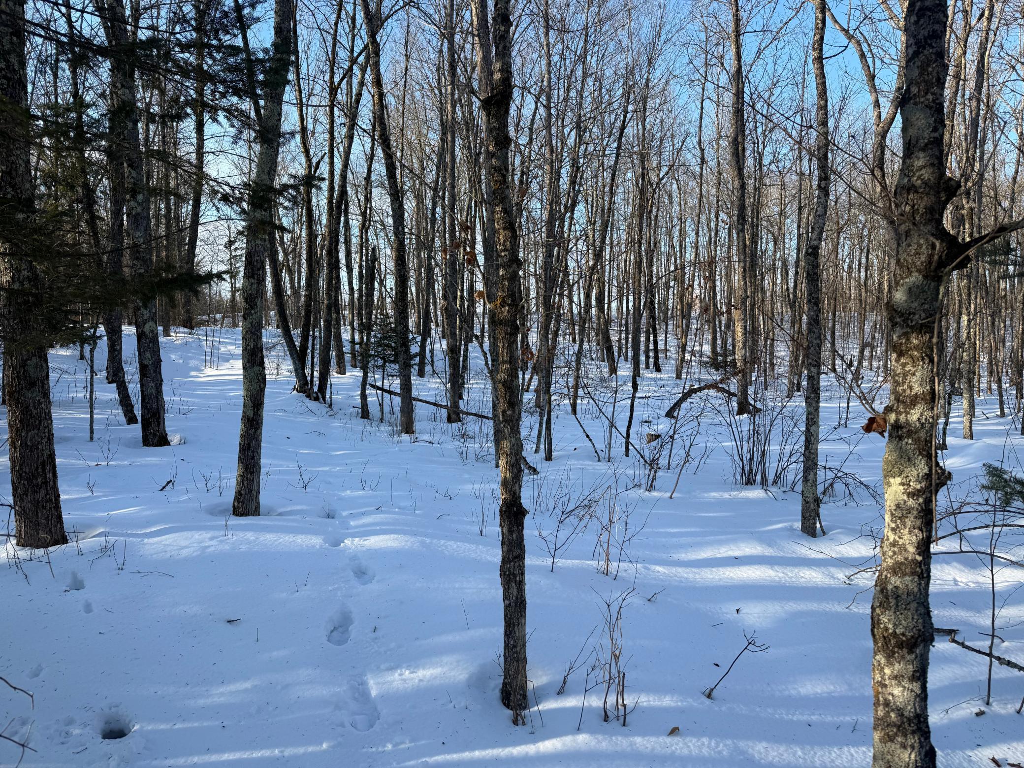 3721 County Line Road Sturgeon Lake, MN 55783 - Photo 22 of 55