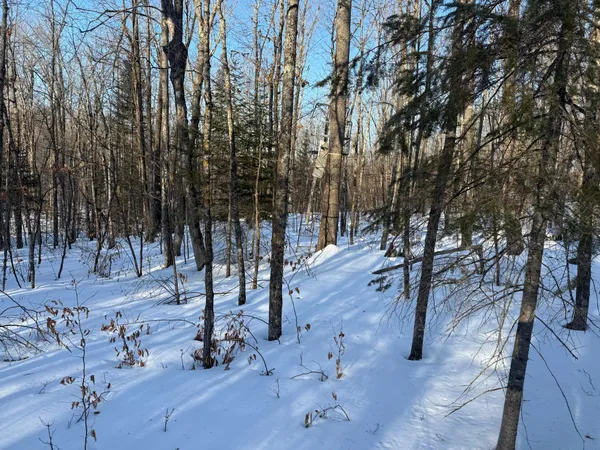 $130,000 | 3721 County Line Road, Sturgeon Lake, MN 55783