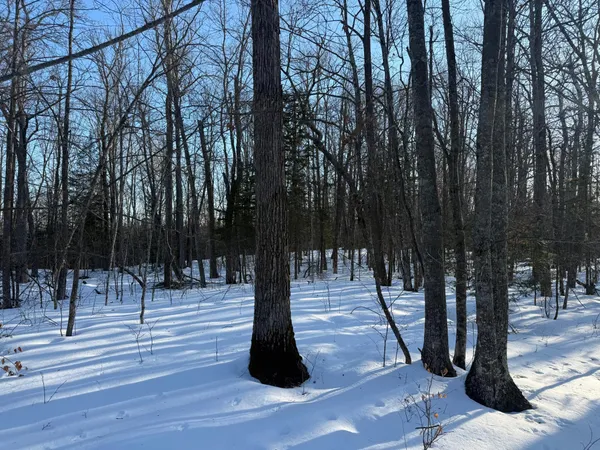 $130,000 | 3721 County Line Road, Sturgeon Lake, MN 55783