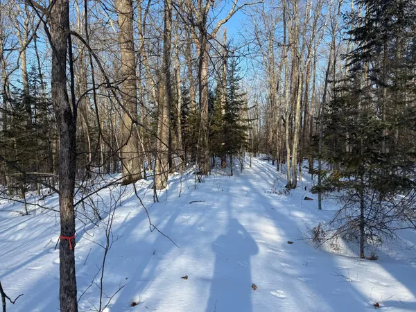 $130,000 | 3721 County Line Road, Sturgeon Lake, MN 55783
