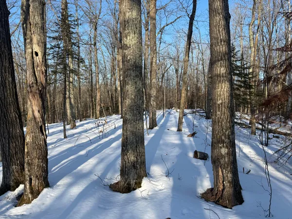 $130,000 | 3721 County Line Road, Sturgeon Lake, MN 55783