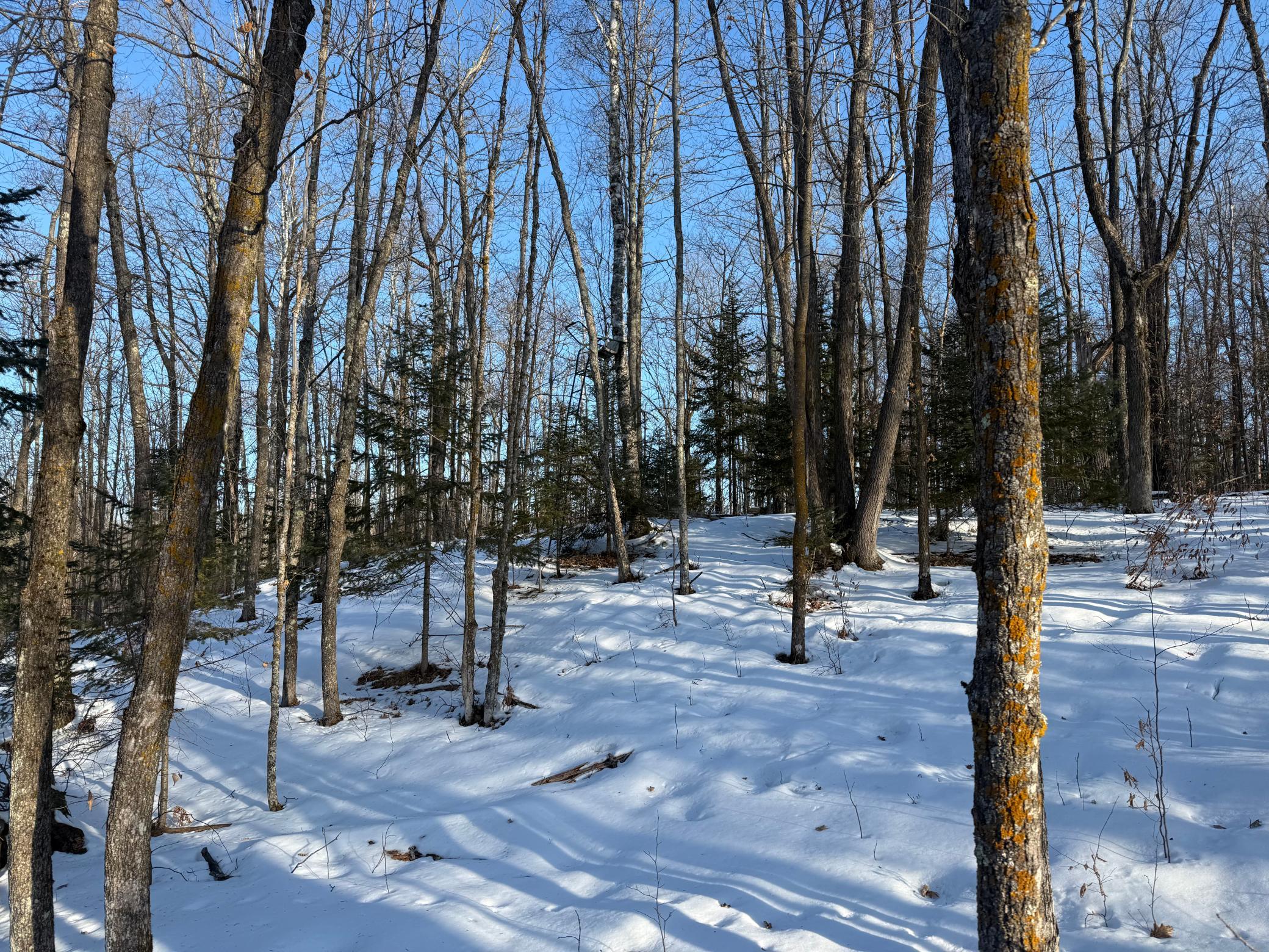 3721 County Line Road Sturgeon Lake, MN 55783 - Photo 30 of 55