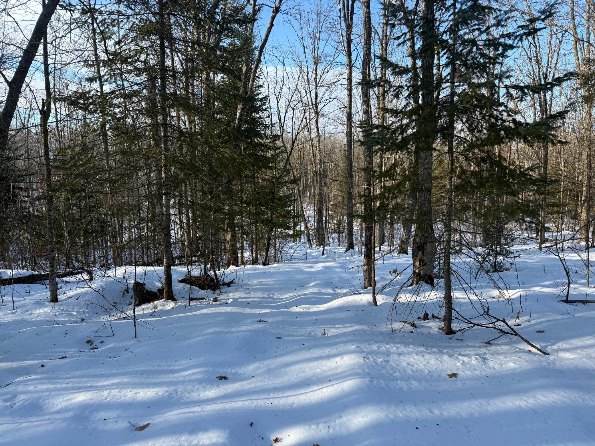 3721 County Line Road Sturgeon Lake, MN 55783 - Photo 31 of 55