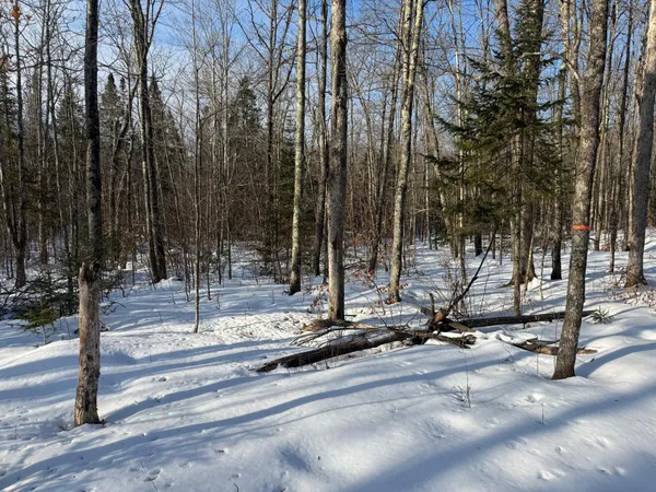 $130,000 | 3721 County Line Road, Sturgeon Lake, MN 55783