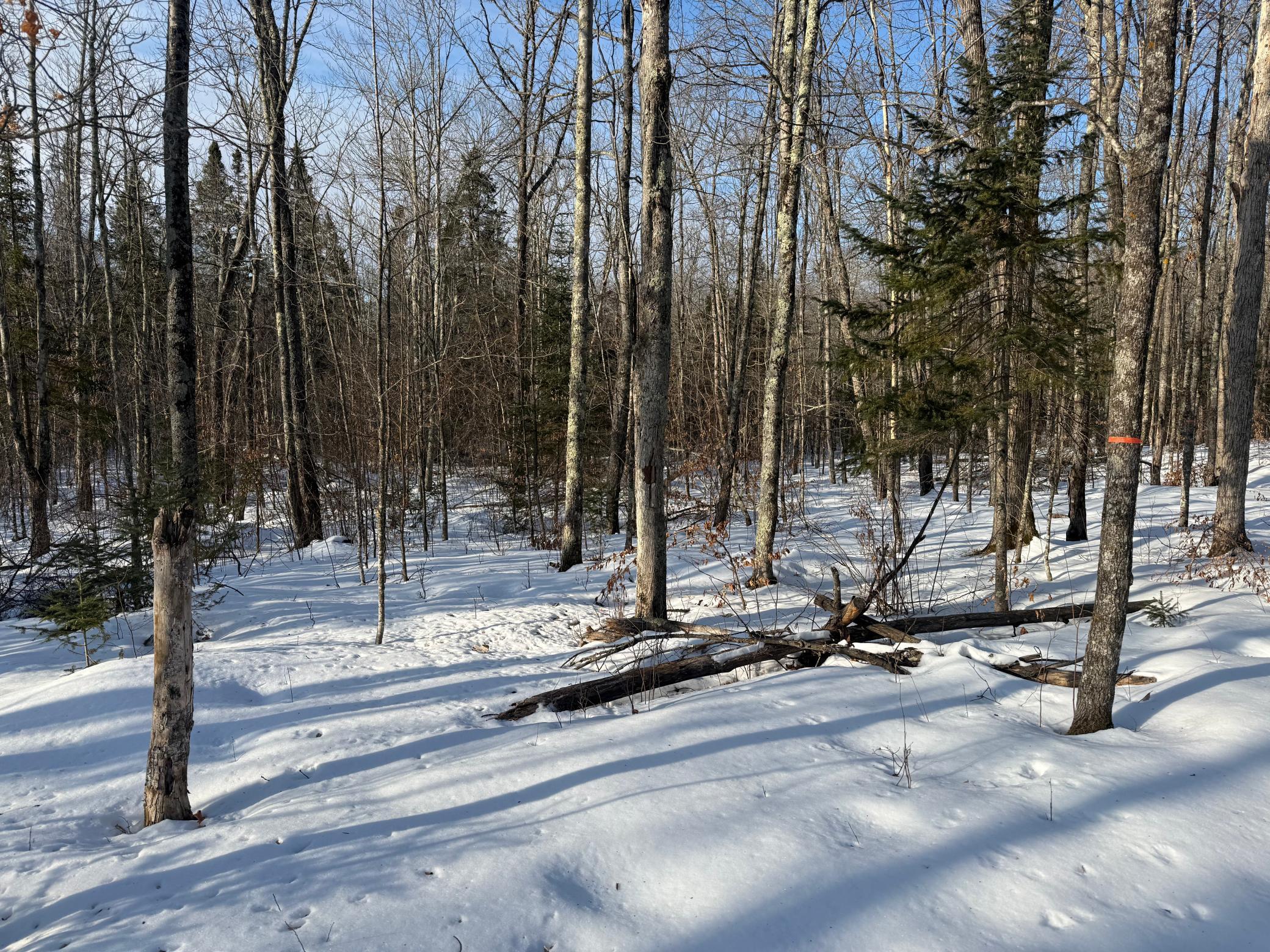 3721 County Line Road Sturgeon Lake, MN 55783 - Photo 34 of 55