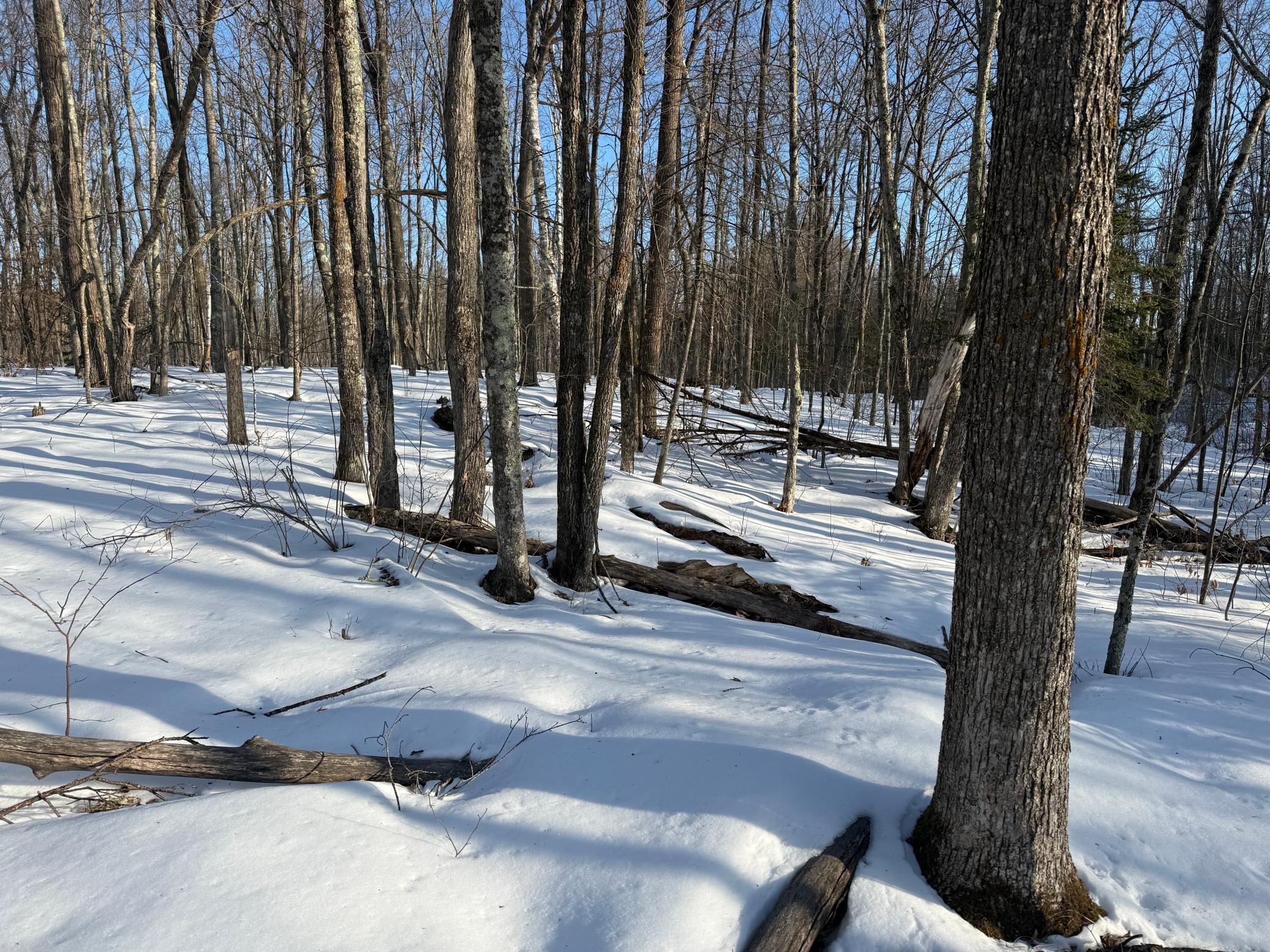 3721 County Line Road Sturgeon Lake, MN 55783 - Photo 35 of 55