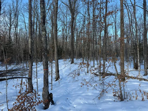 $130,000 | 3721 County Line Road, Sturgeon Lake, MN 55783