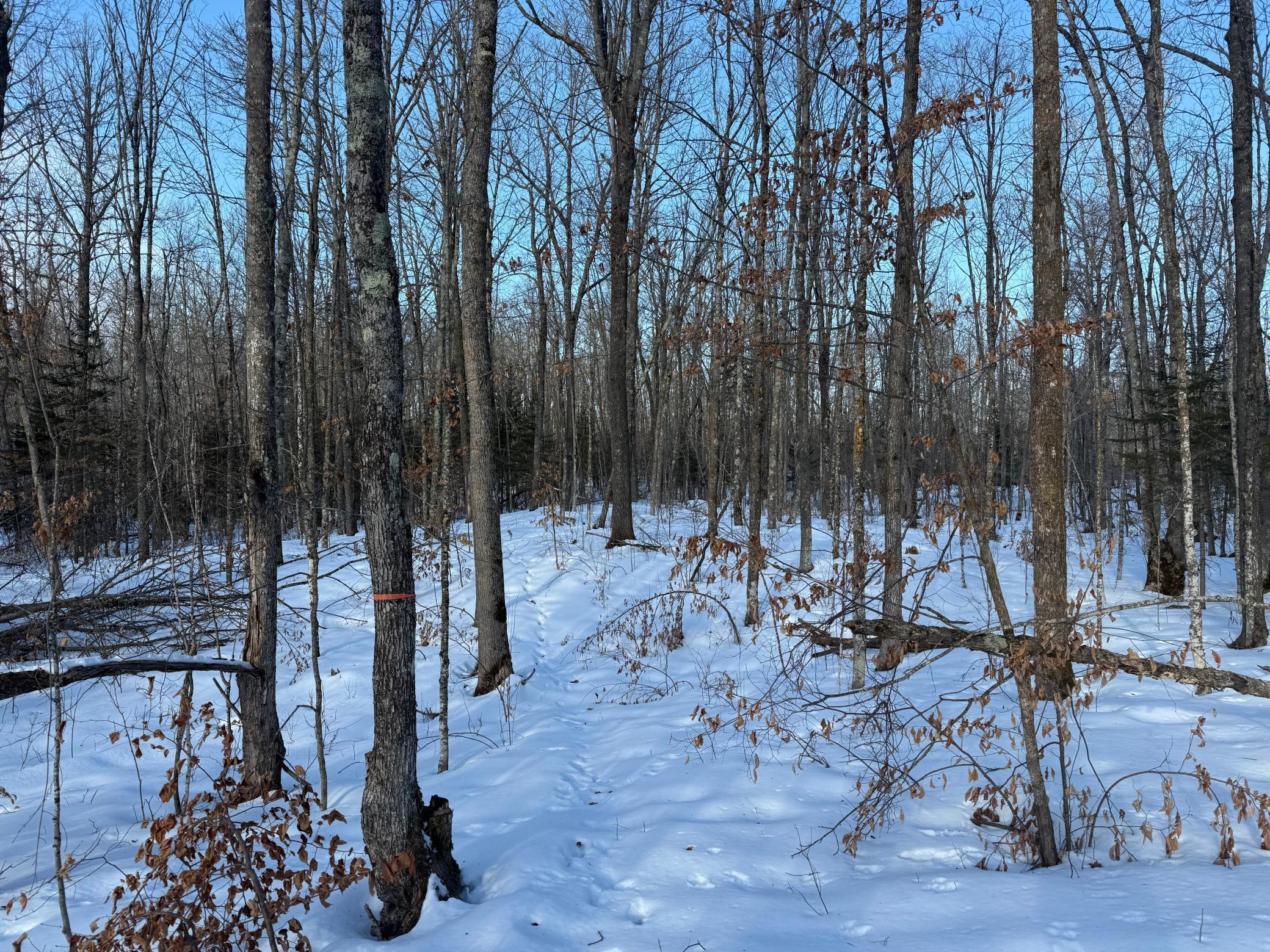 3721 County Line Road Sturgeon Lake, MN 55783 - Photo 36 of 55