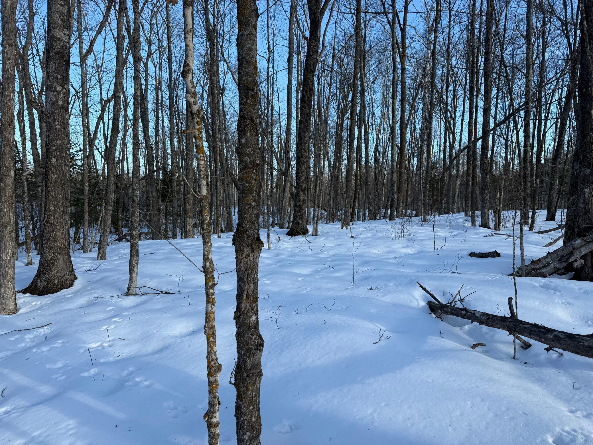 3721 County Line Road Sturgeon Lake, MN 55783 - Photo 37 of 55