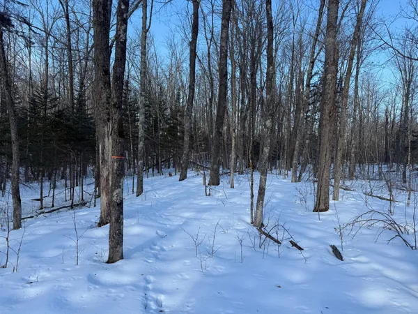 $130,000 | 3721 County Line Road, Sturgeon Lake, MN 55783