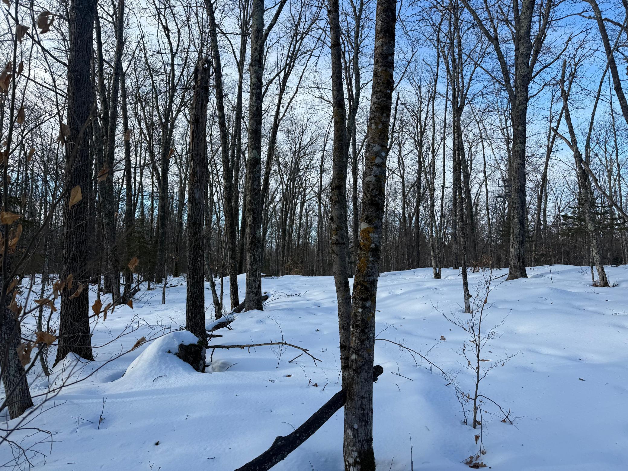 3721 County Line Road Sturgeon Lake, MN 55783 - Photo 39 of 55