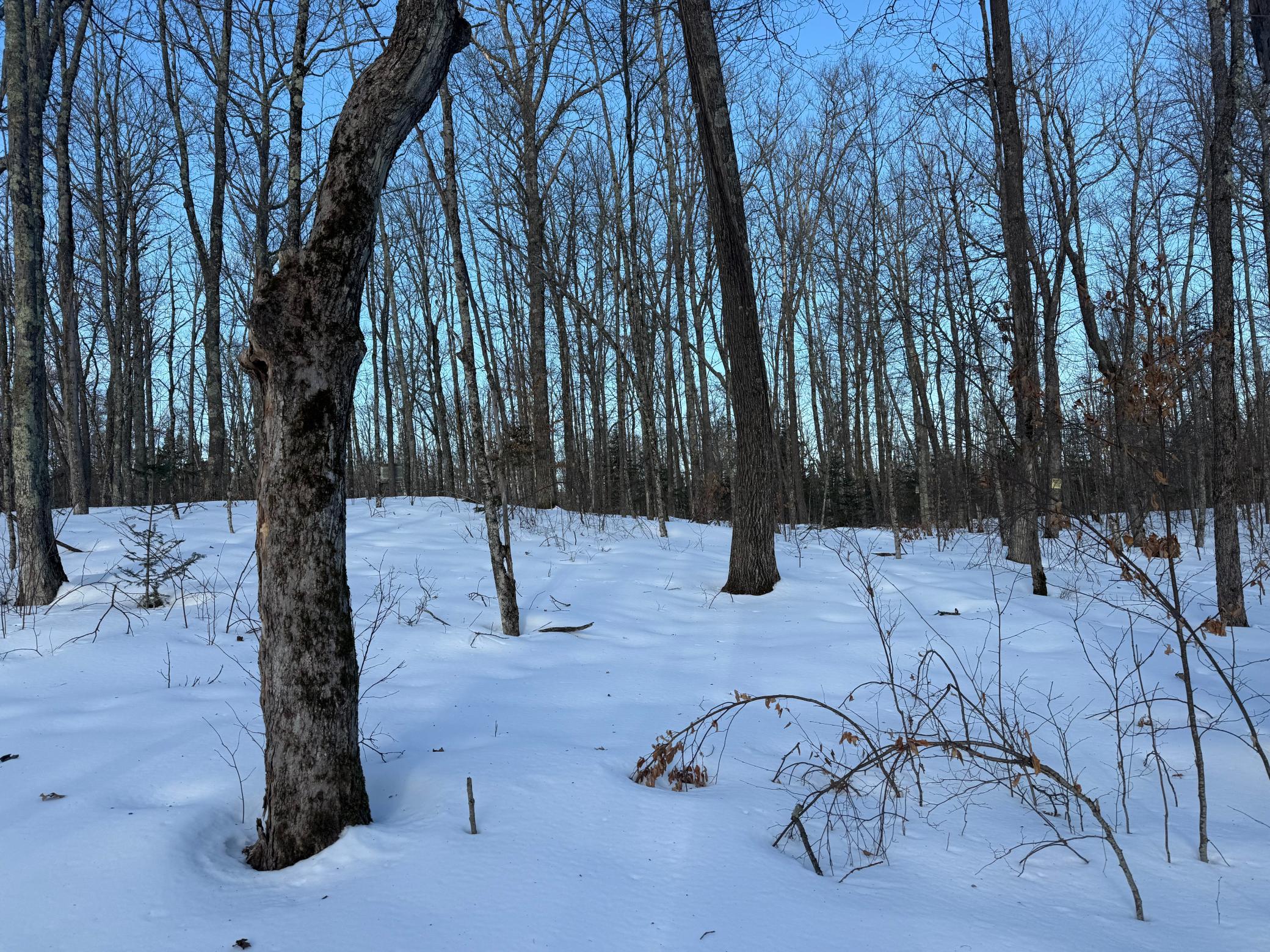 3721 County Line Road Sturgeon Lake, MN 55783 - Photo 40 of 55