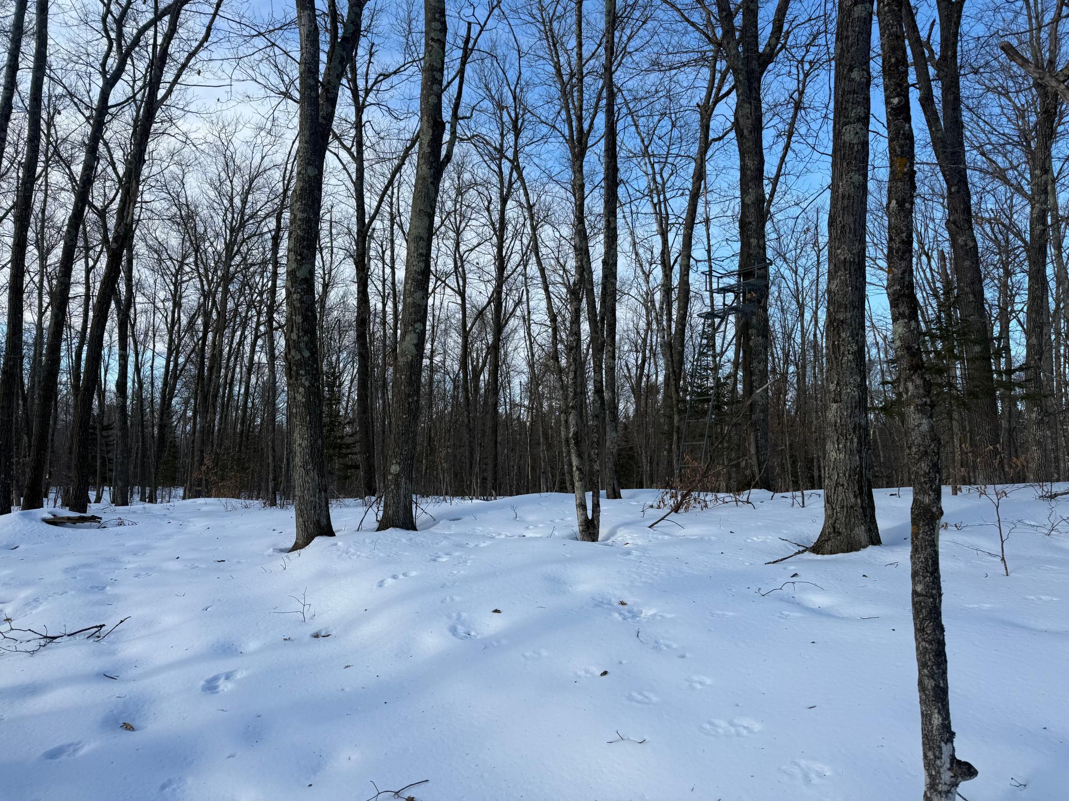 3721 County Line Road Sturgeon Lake, MN 55783 - Photo 41 of 55