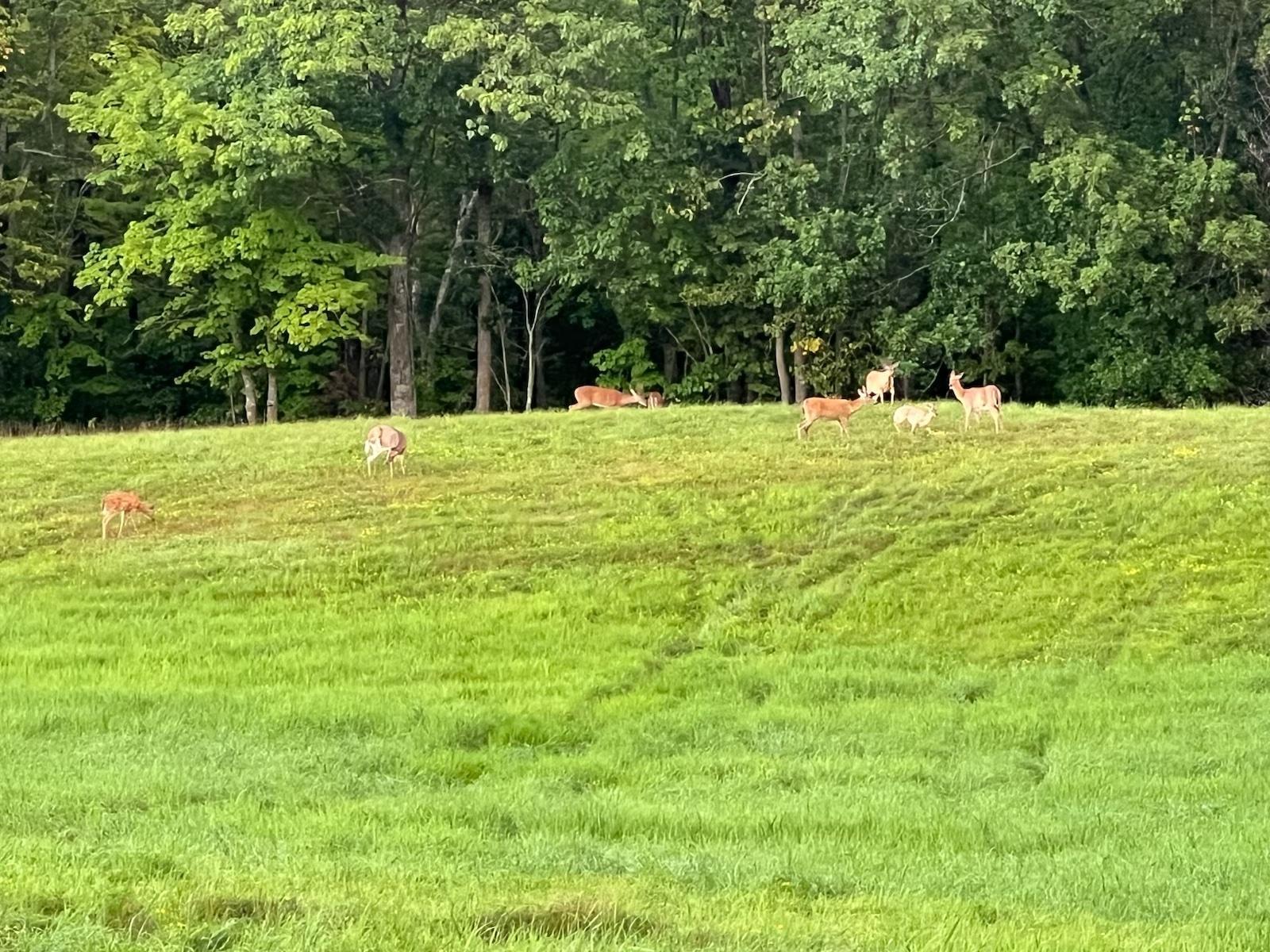 3721 County Line Road Sturgeon Lake, MN 55783 - Photo 42 of 55