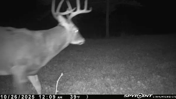 $130,000 | 3721 County Line Road, Sturgeon Lake, MN 55783