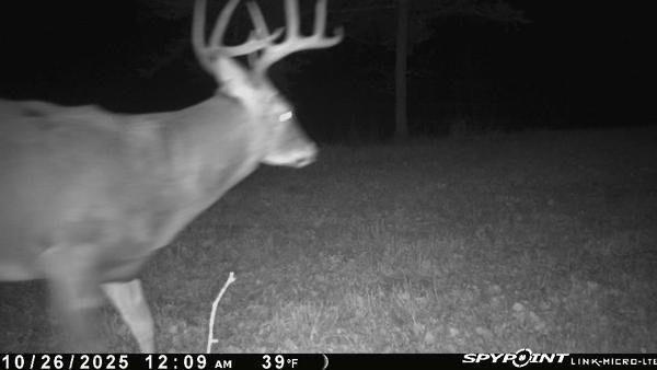 3721 County Line Road Sturgeon Lake, MN 55783 - Photo 44 of 55