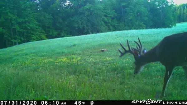 $130,000 | 3721 County Line Road, Sturgeon Lake, MN 55783