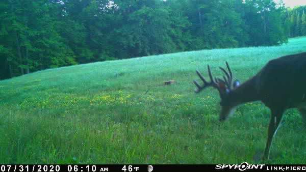 3721 County Line Road Sturgeon Lake, MN 55783 - Photo 45 of 55