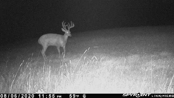 3721 County Line Road Sturgeon Lake, MN 55783 - Photo 46 of 55