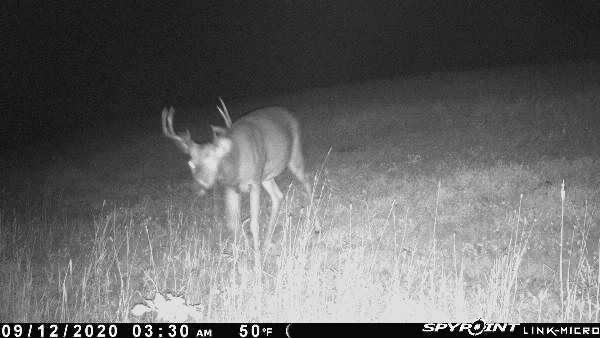 3721 County Line Road Sturgeon Lake, MN 55783 - Photo 47 of 55