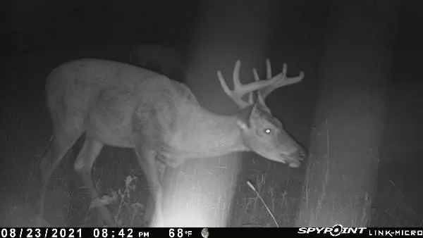 $130,000 | 3721 County Line Road, Sturgeon Lake, MN 55783