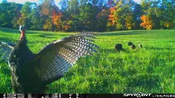 $130,000 | 3721 County Line Road, Sturgeon Lake, MN 55783