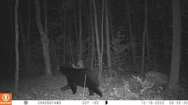 3721 County Line Road Sturgeon Lake, MN 55783 - Photo 50 of 55