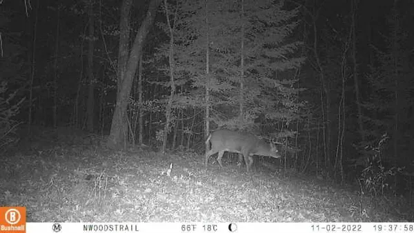 $130,000 | 3721 County Line Road, Sturgeon Lake, MN 55783