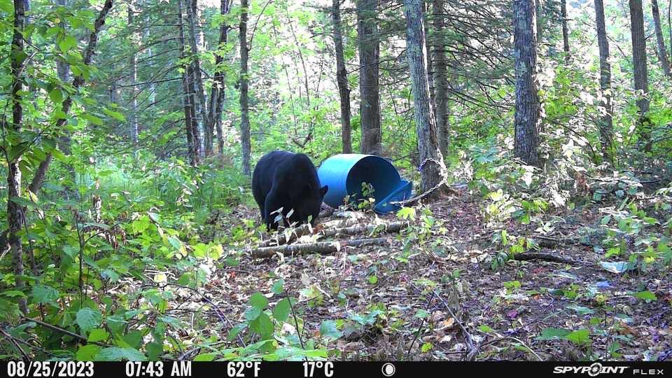 3721 County Line Road Sturgeon Lake, MN 55783 - Photo 52 of 55