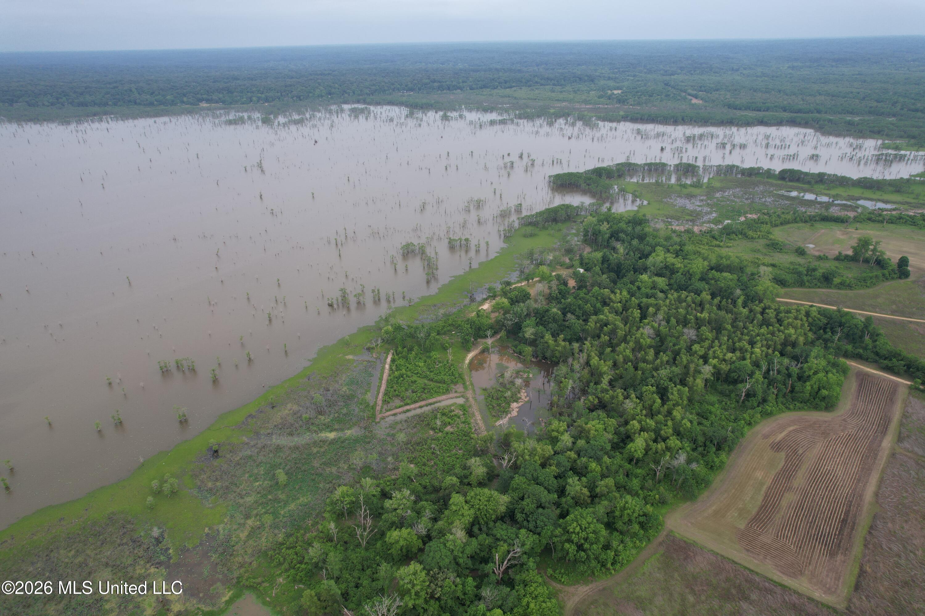 Lake Mary Road Woodville, MS 39669 - Photo 10 of 39 DJI_0966