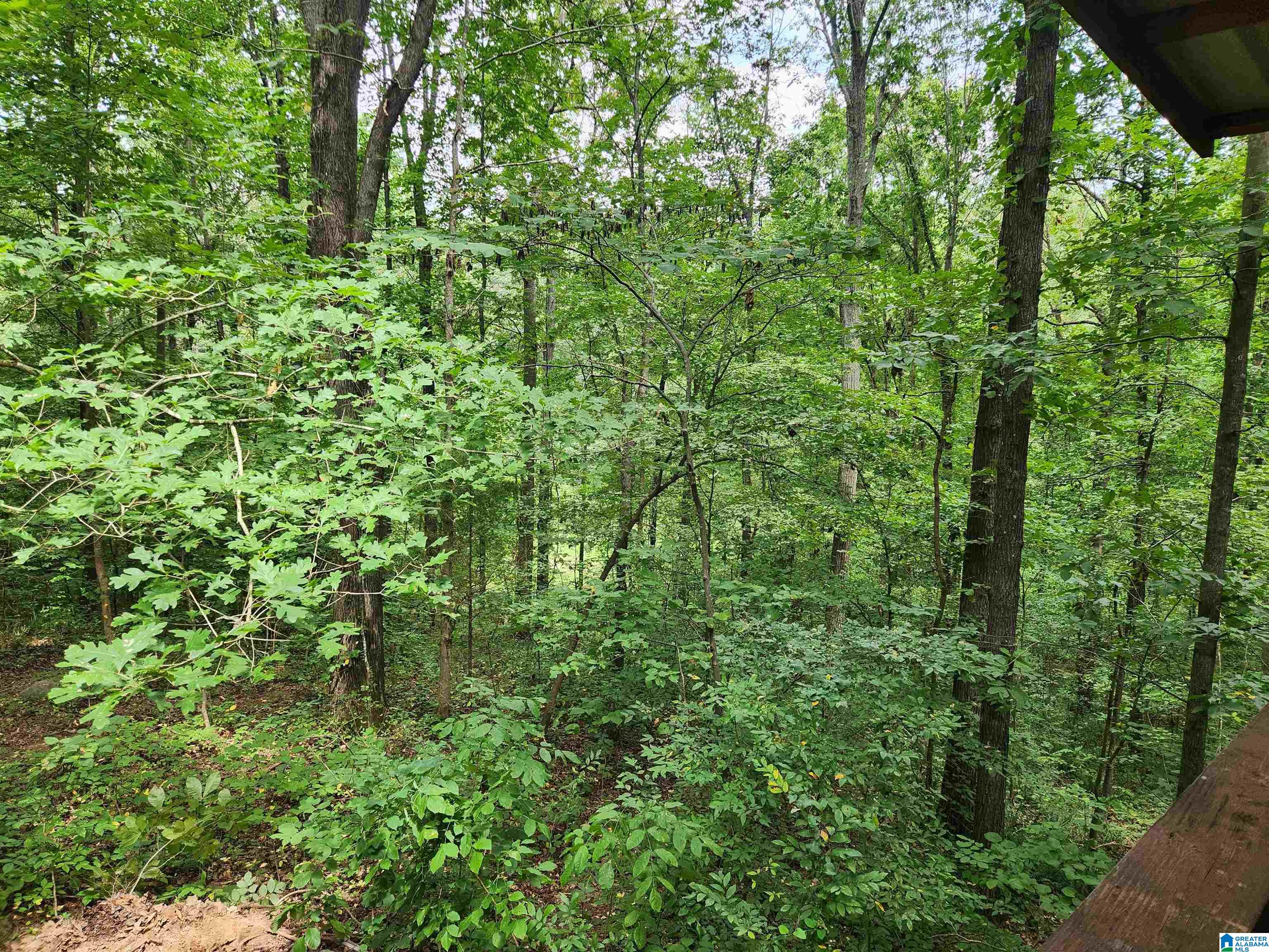 14843 Gallant Road Gallant, AL 35972 - Photo 29 of 100