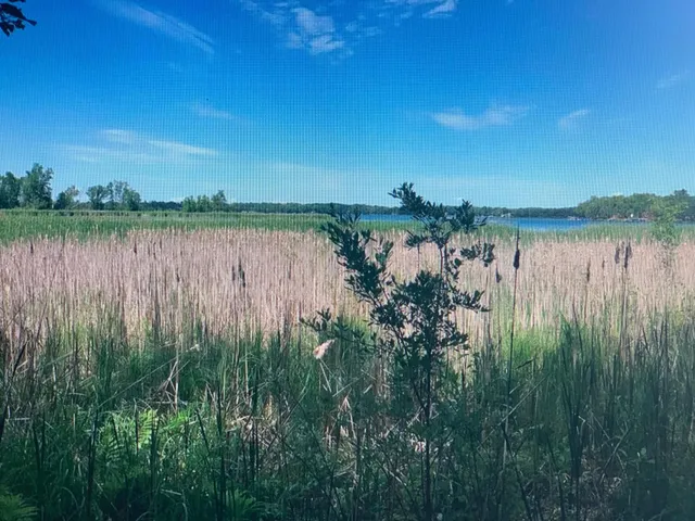 $147,777 | Xxx Xxx 388th South Harbor, Onamia, MN 56359