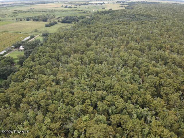 0 Theall Road Abbeville, LA 70510 - Photo 2 of 4 2024-07-18-15-57-28-450