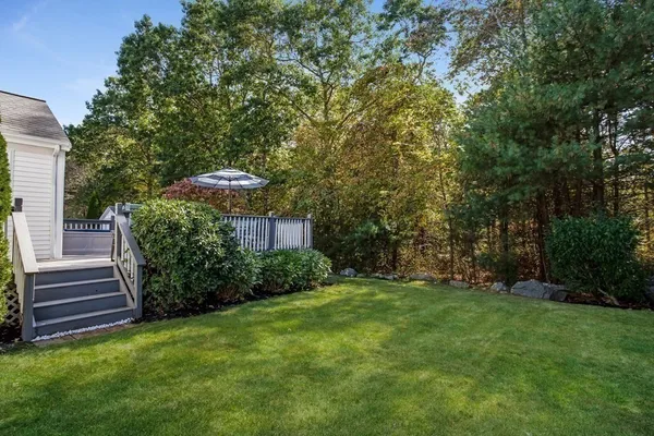 a view of a backyard with potted plants and large trees