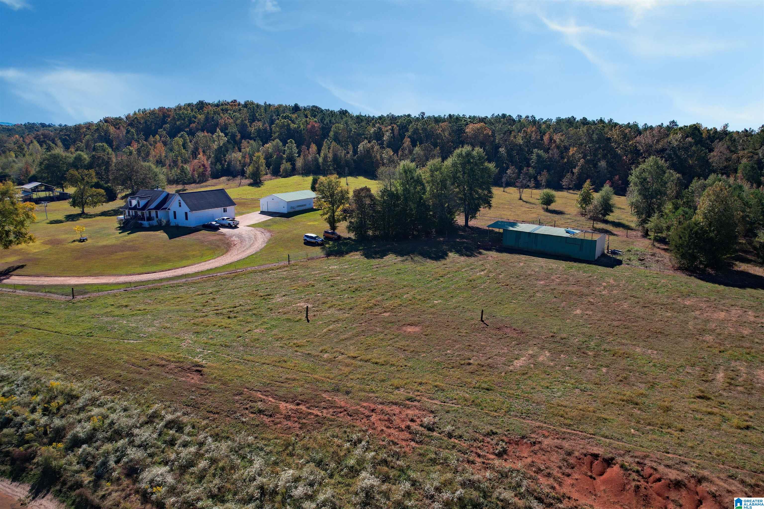1450 Rendalia Motorway Talladega, AL 35160 - Photo 25 of 64