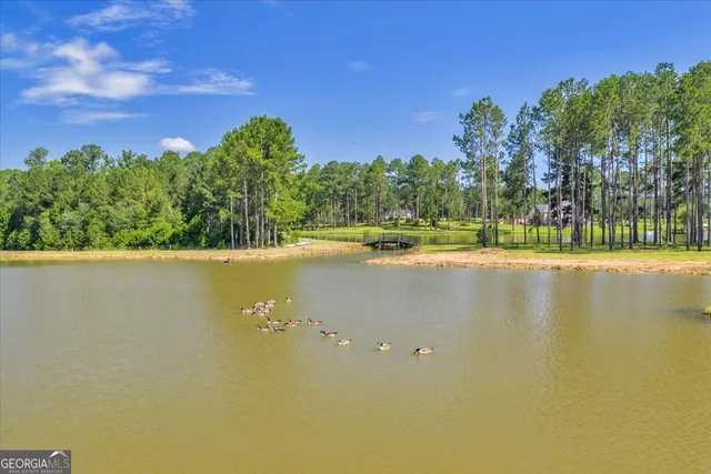 $1,290,000 | 964 Cross Cedar Road, Wrightsville, GA 31096
