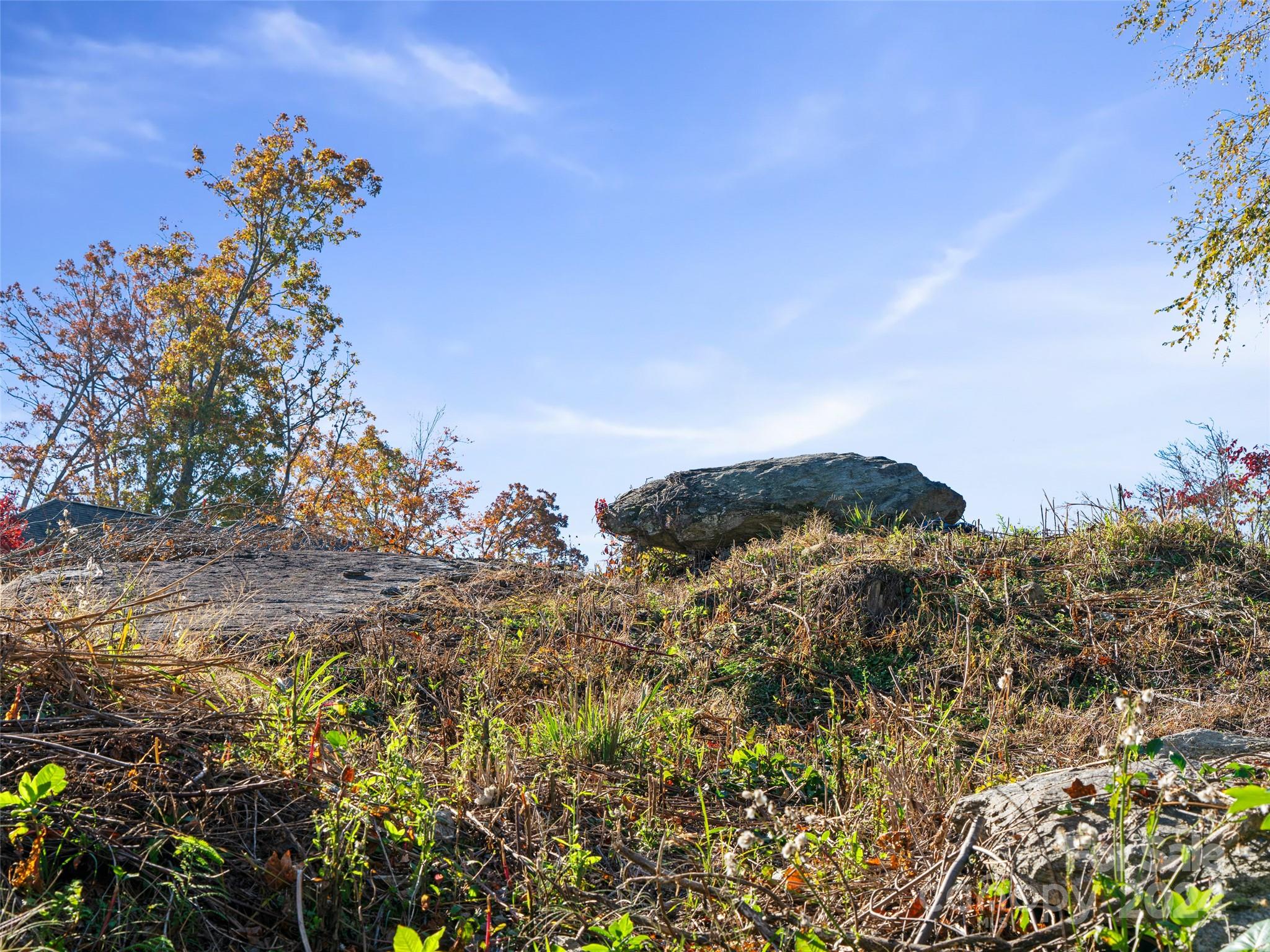 288 Millbrae Loop, Unit 1632 Hendersonville, NC 28791 - Photo 15 of 28