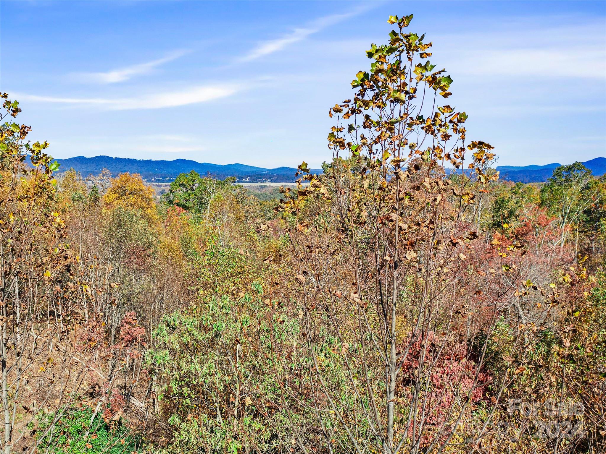 288 Millbrae Loop, Unit 1632 Hendersonville, NC 28791 - Photo 21 of 28