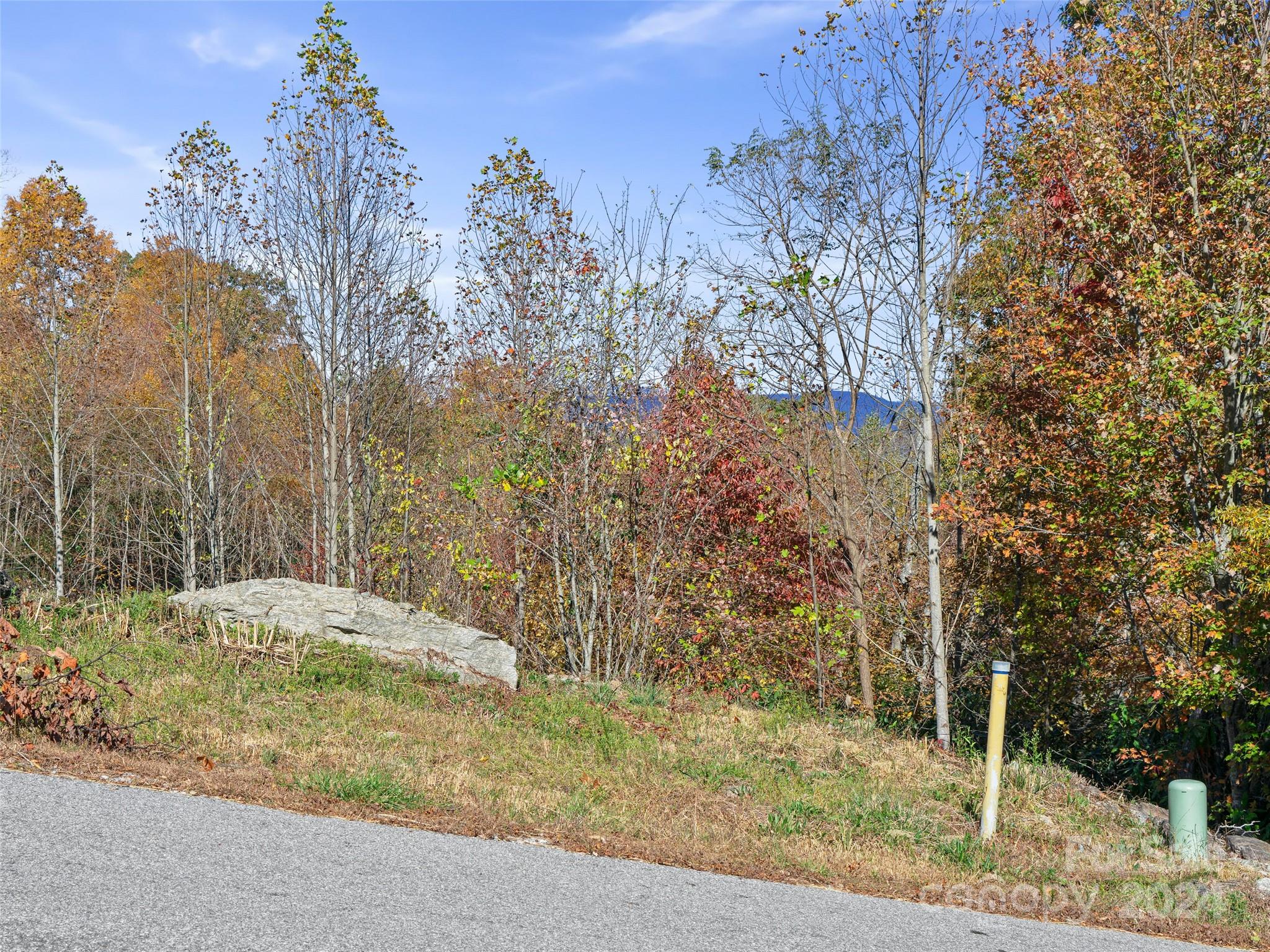 288 Millbrae Loop, Unit 1632 Hendersonville, NC 28791 - Photo 10 of 28