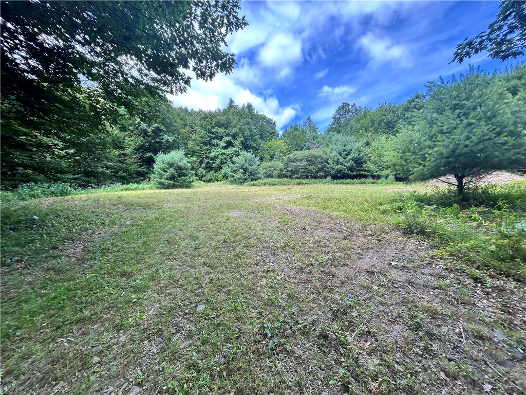 270 Collins-Gifford Valley Road Northampton, NY 12134 - Photo 15 of 26