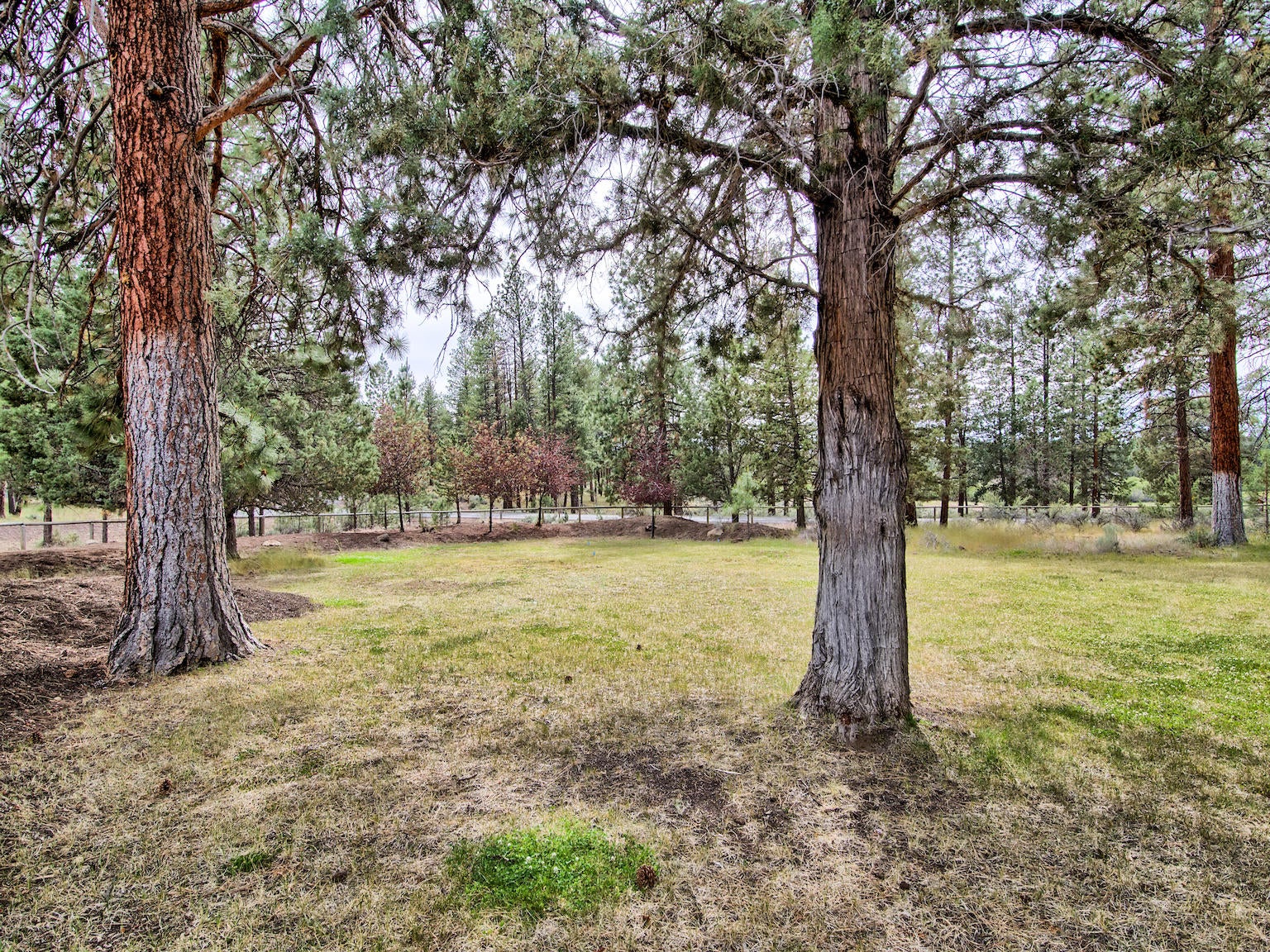 69767 Pine Ridge Road Sisters, OR 97759 - Photo 27 of 31 HDR64