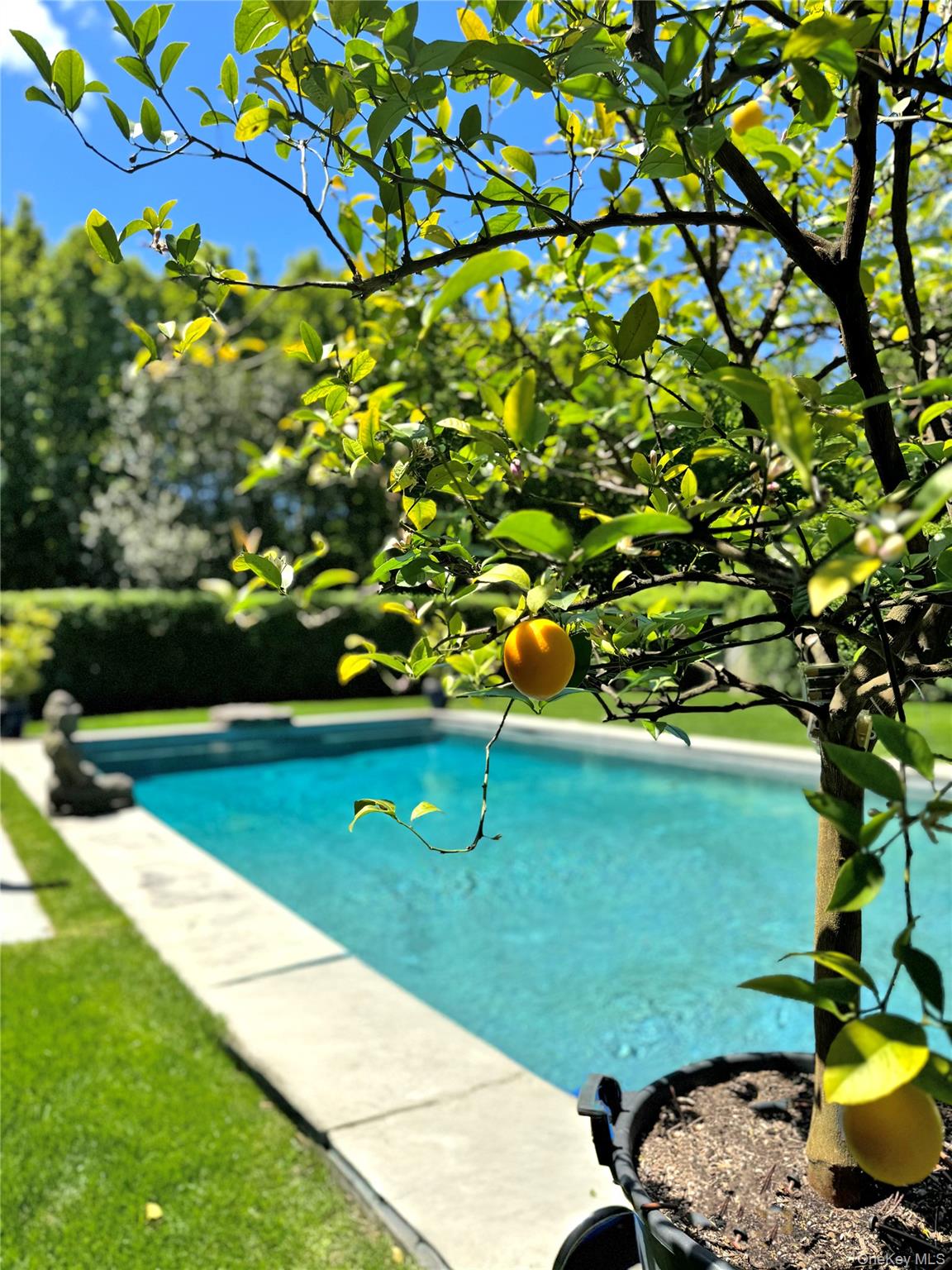 198 South Country Road Remsenburg, NY 11960 - Photo 2 of 49 a view of a garden with a tree