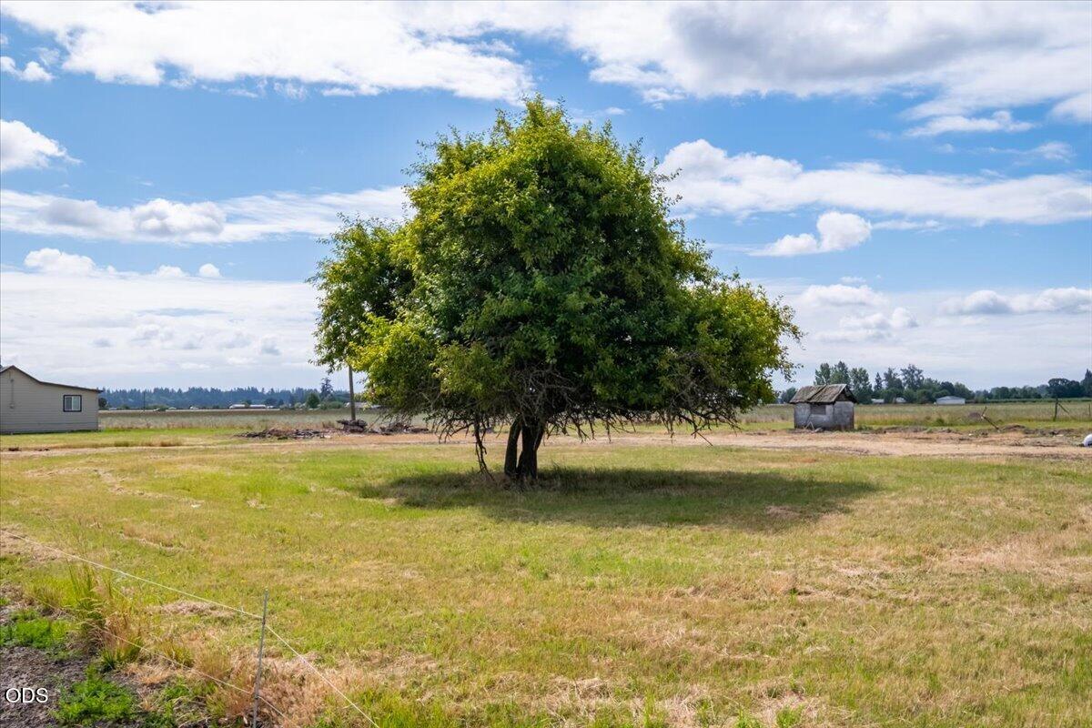 Undisclosed Address Jefferson, OR 97352 - Photo 9 of 36