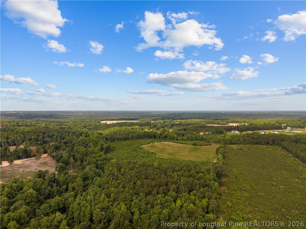 Leaflet Church Road Lillington, NC 27546 - Photo 10 of 20